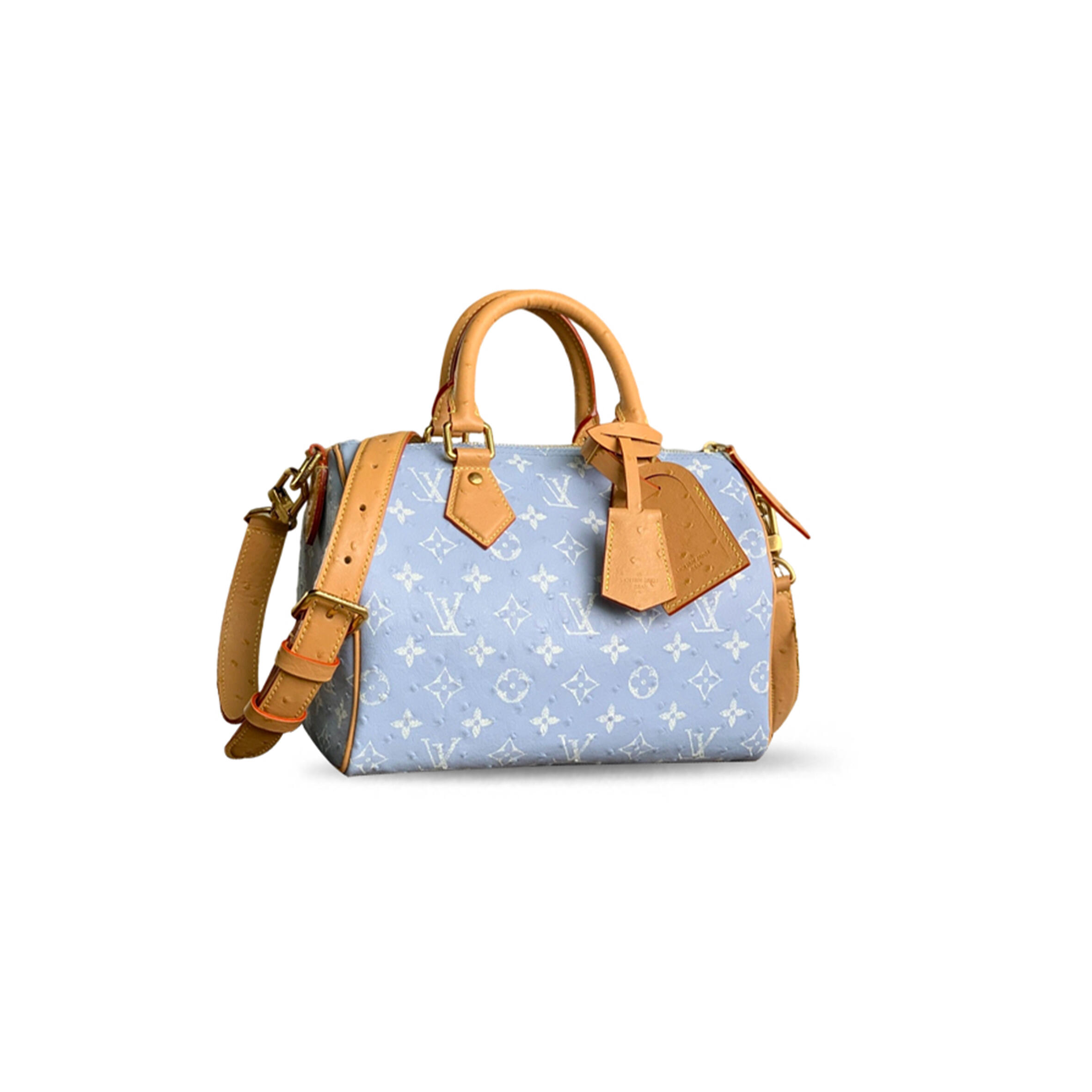 l0vis Vvtt0n master speedy p9 bandouliÈre 25 m24437 (25*15*15cm)